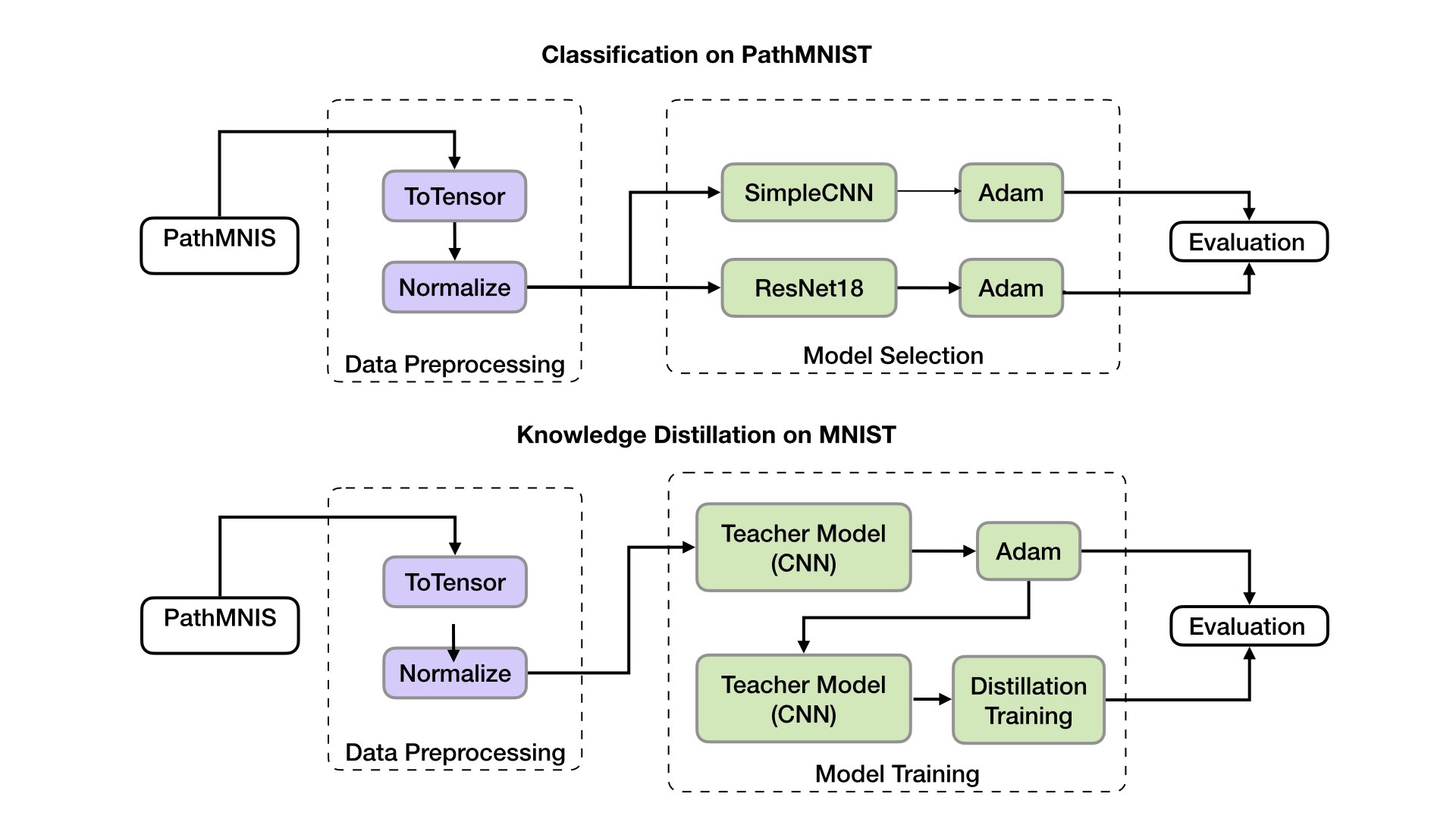 Histopathology image classification project